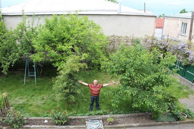 Guesthouse Natali Telavi Luaran gambar