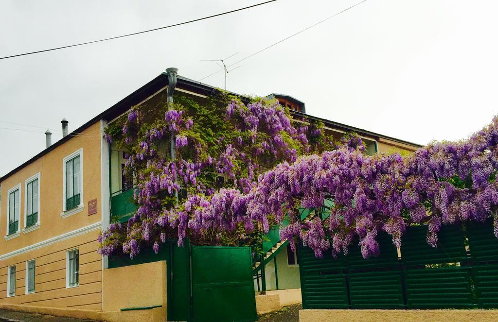 Guesthouse Natali Telavi Luaran gambar